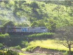 VLI 8439
